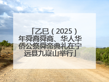 乙巳（2025）年舜裔舜商、华人华侨公祭舜帝典礼在宁远县九嶷山举行
