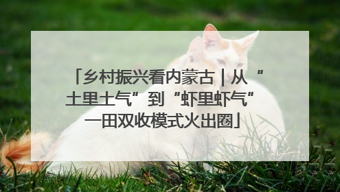 乡村振兴看内蒙古｜从“土里土气”到“虾里虾气” 一田双收模式火出圈