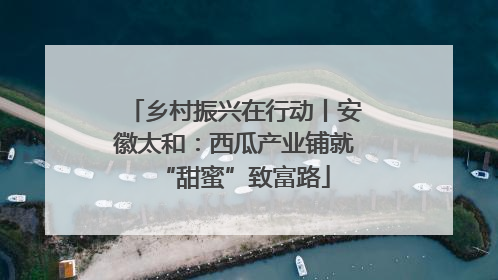 乡村振兴在行动丨安徽太和：西瓜产业铺就“甜蜜”致富路