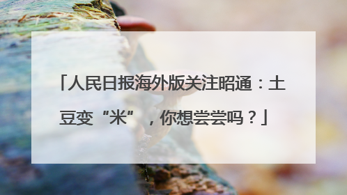 人民日报海外版关注昭通：土豆变“米”，你想尝尝吗？