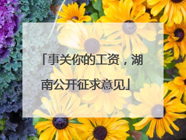 事关你的工资，湖南公开征求意见
