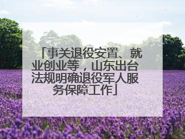 事关退役安置、就业创业等，山东出台法规明确退役军人服务保障工作