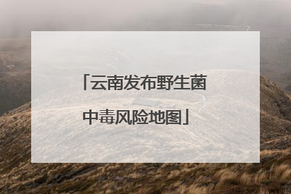 云南发布野生菌中毒风险地图