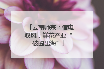 云南师宗：借电驭风，鲜花产业“破圈出海”