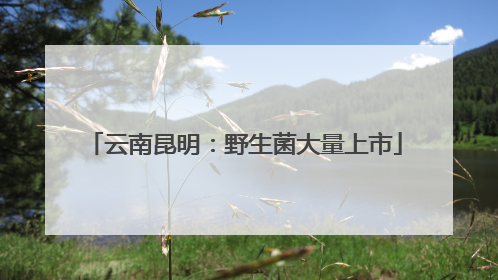 云南昆明：野生菌大量上市