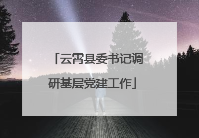 云霄县委书记调研基层党建工作