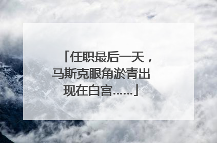 任职最后一天，马斯克眼角淤青出现在白宫……