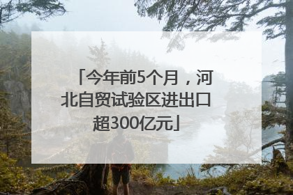 今年前5个月，河北自贸试验区进出口超300亿元