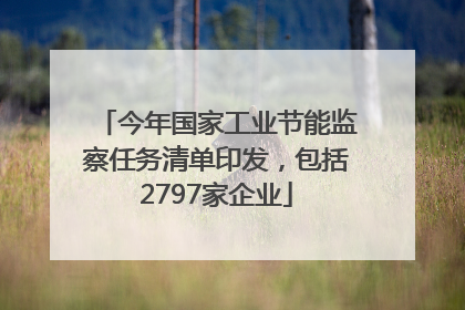 今年国家工业节能监察任务清单印发，包括2797家企业