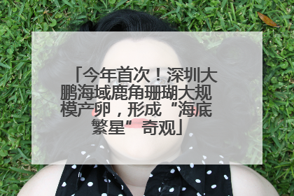 今年首次！深圳大鹏海域鹿角珊瑚大规模产卵，形成“海底繁星”奇观