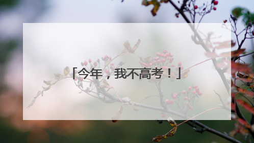 今年，我不高考！