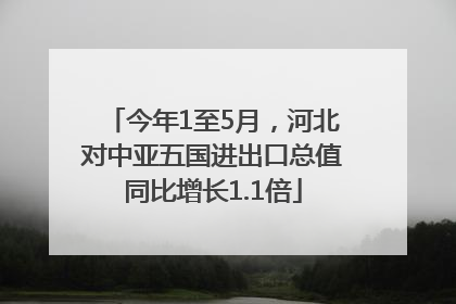 今年1至5月，河北对中亚五国进出口总值同比增长1.1倍