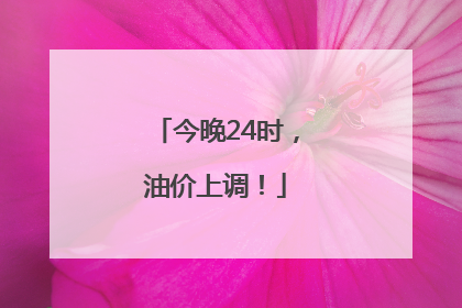今晚24时，油价上调！