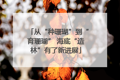 从“种珊瑚”到“育珊瑚” 海底“造林”有了新进展