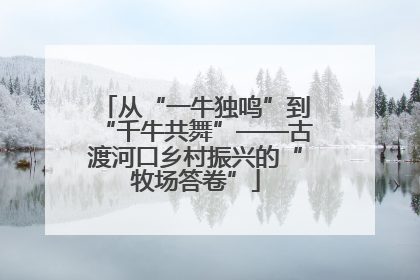从“一牛独鸣”到“千牛共舞”——古渡河口乡村振兴的“牧场答卷”