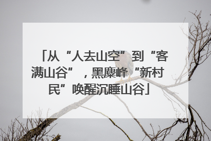 从“人去山空”到“客满山谷”，黑麋峰“新村民”唤醒沉睡山谷