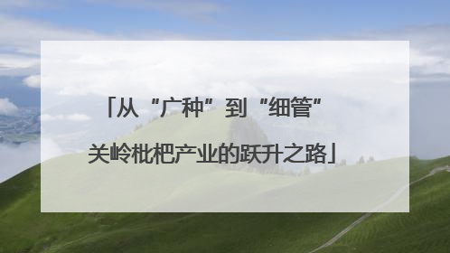 从“广种”到“细管” 关岭枇杷产业的跃升之路
