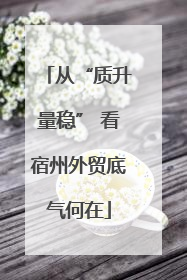 从“质升量稳” 看宿州外贸底气何在