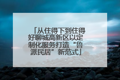 从住得下到住得好聊城高新区以定制化服务打造“鲁派民居”新范式