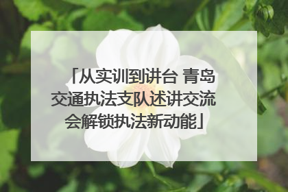 从实训到讲台 青岛交通执法支队述讲交流会解锁执法新动能