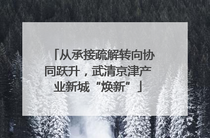 从承接疏解转向协同跃升，武清京津产业新城“焕新”
