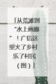 从荒滩到“水上画廊”！广信这里火了乡村 乐了村民（图）