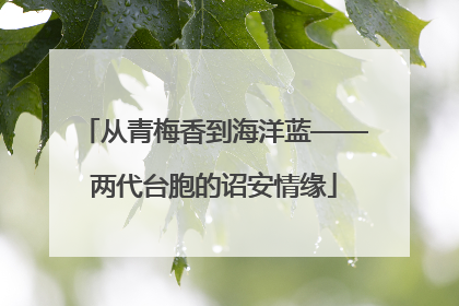 从青梅香到海洋蓝——两代台胞的诏安情缘