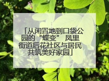 从闲置地到口袋公园的“蝶变” 凤里街道后花社区与居民共筑美好家园