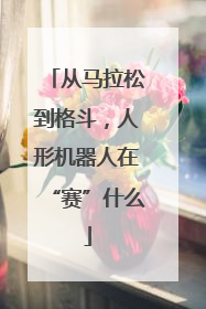 从马拉松到格斗，人形机器人在“赛”什么