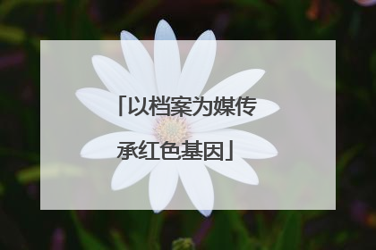 以档案为媒传承红色基因