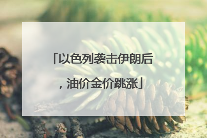 以色列袭击伊朗后，油价金价跳涨