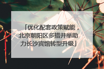 优化配套政策赋能，北京朝阳区多措并举助力长沙宾馆转型升级