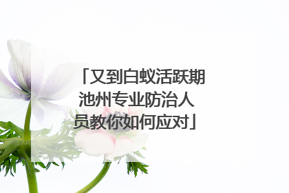又到白蚁活跃期 池州专业防治人员教你如何应对