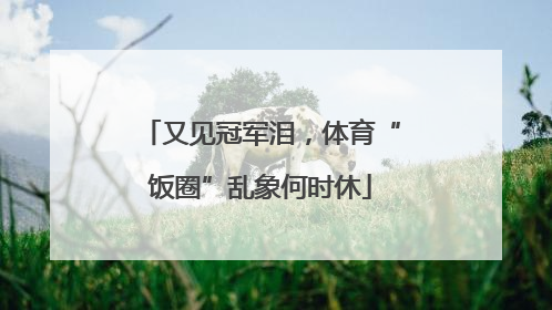 又见冠军泪，体育“饭圈”乱象何时休