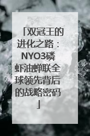 双冠王的进化之路：NYO3磷虾油蝉联全球领先背后的战略密码