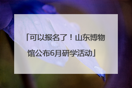 可以报名了！山东博物馆公布6月研学活动