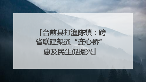 台前县打渔陈镇：跨省联建架通“连心桥” 惠及民生促振兴