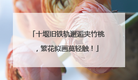 十堰旧铁轨邂逅夹竹桃，繁花似画莫轻触！
