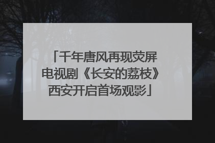 千年唐风再现荧屏 电视剧《长安的荔枝》西安开启首场观影