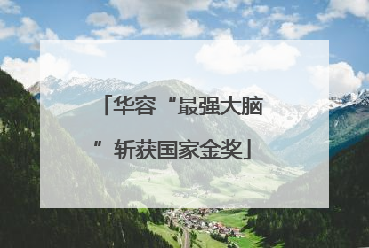 华容“最强大脑”斩获国家金奖