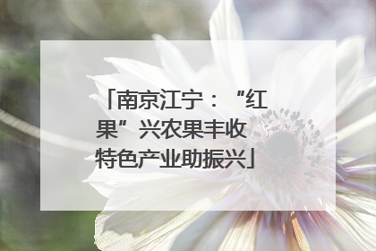 南京江宁：“红果”兴农果丰收 特色产业助振兴