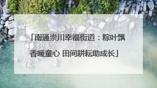 南通崇川幸福街道：粽叶飘香暖童心 田间耕耘助成长