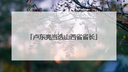 卢东亮当选山西省省长