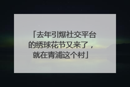 去年引爆社交平台的绣球花节又来了，就在青浦这个村