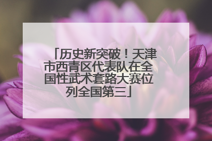 历史新突破！天津市西青区代表队在全国性武术套路大赛位列全国第三