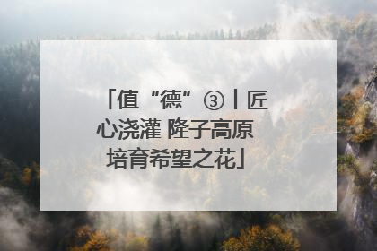 值“德”③丨匠心浇灌 隆子高原培育希望之花