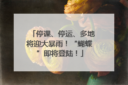 停课、停运、多地将迎大暴雨！“蝴蝶”即将登陆！