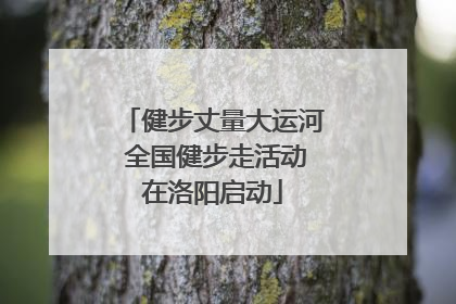 健步丈量大运河 全国健步走活动在洛阳启动
