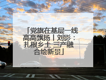 党旗在基层一线高高飘扬丨刘影：扎根乡土 三产融合绘新景