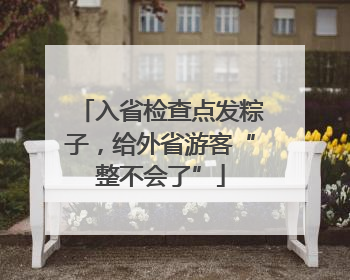 入省检查点发粽子，给外省游客“整不会了”